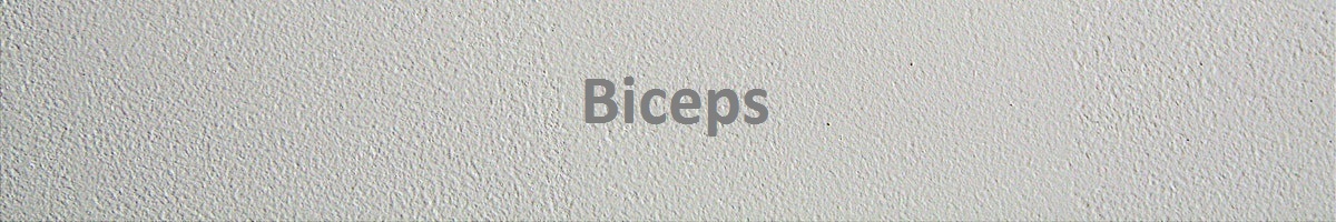 Biceps